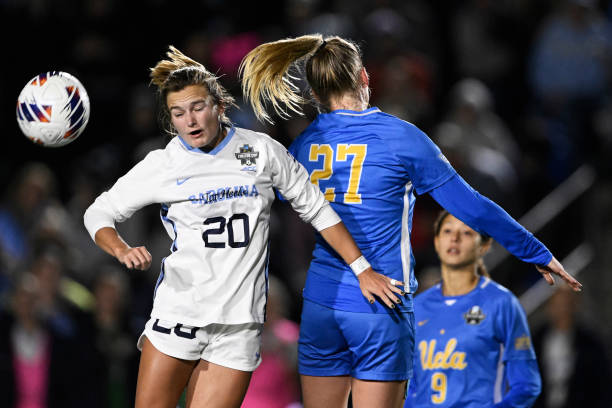 實力兼備的 實力兼備的